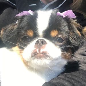 Meet your Posher, Sue